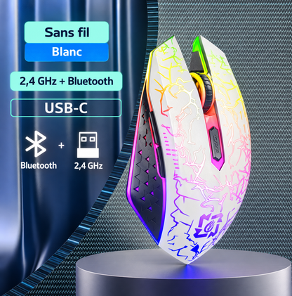 Souris Gaming Sans Fil