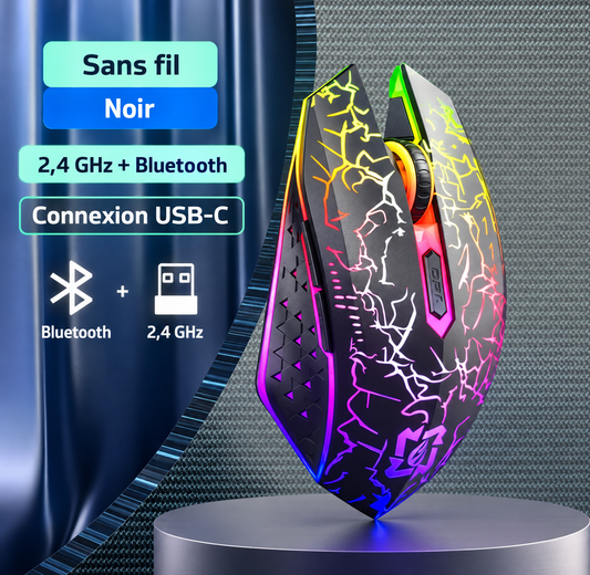 Souris Gaming Sans Fil