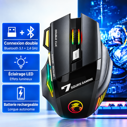 Souris Gaming Sans Fil