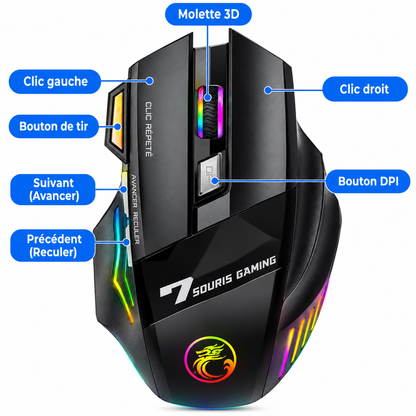 Souris Gaming Sans Fil