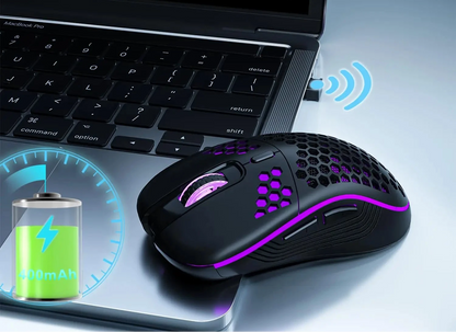 Souris Gaming Sans Fil RGB